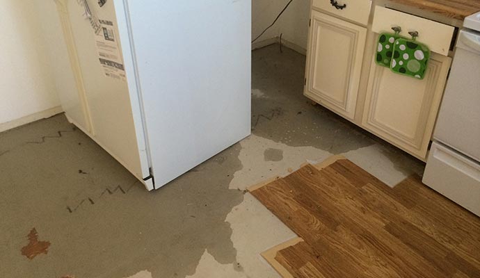 Refrigerator Water Line Leak Repair in Southeast Idaho