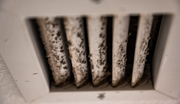 moldy duct