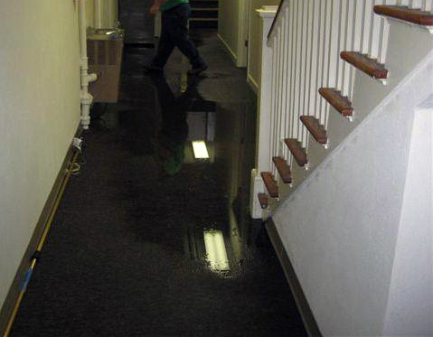 How the Cost of Water Damage Restoration Is Determined