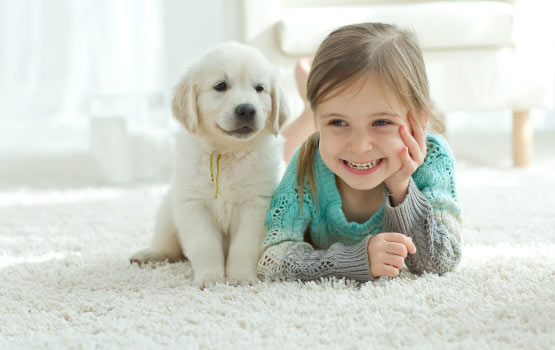 Pet Treatment for Carpet in Southeast Idaho