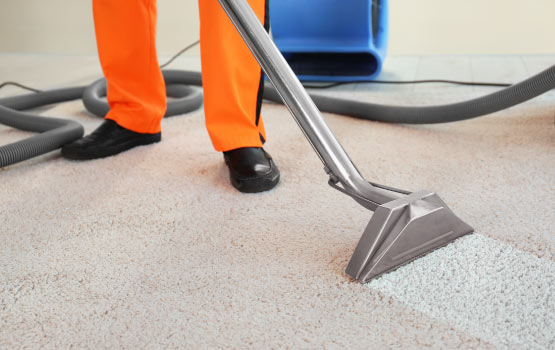 man cleaning carpet using professional tools