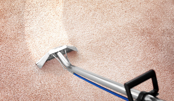 Carpet cleaning with steam cleaner