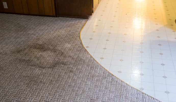 Carpet transition strip