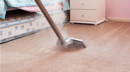 Carpet Steam Cleaning in Southeastern Idaho