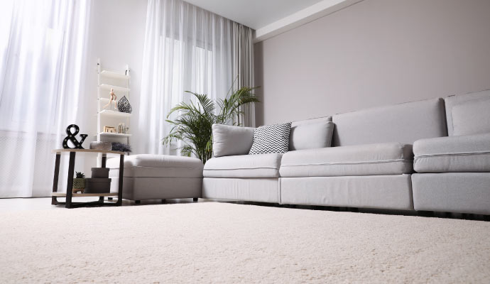 clean carpet in a living room