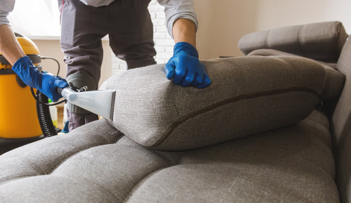 Person cleaning upholstery