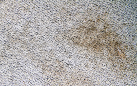 Too much bleach spots and stained in the carpet