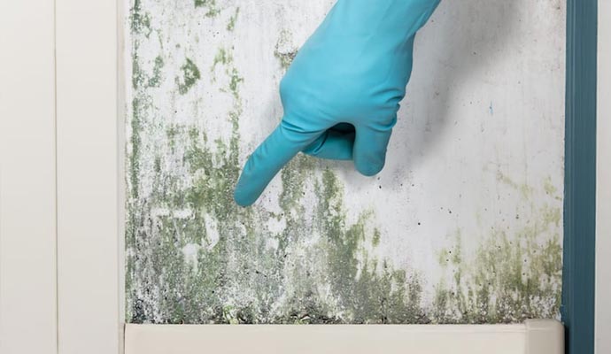 How to Test for Mold (Even If You Can't See It) - Bob Vila