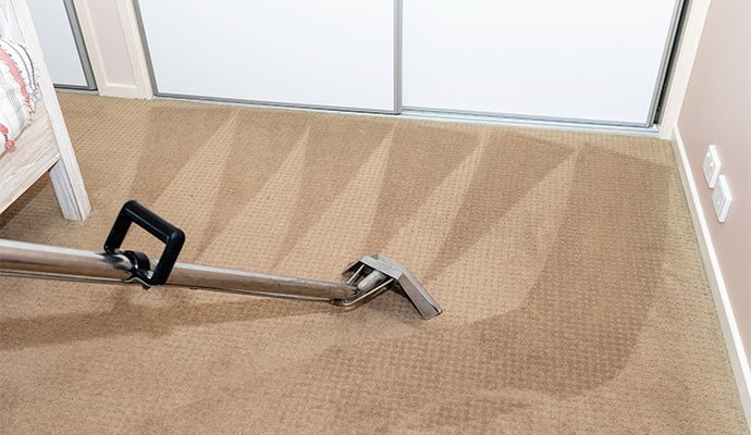 a professional cleaning carpet with professional tools