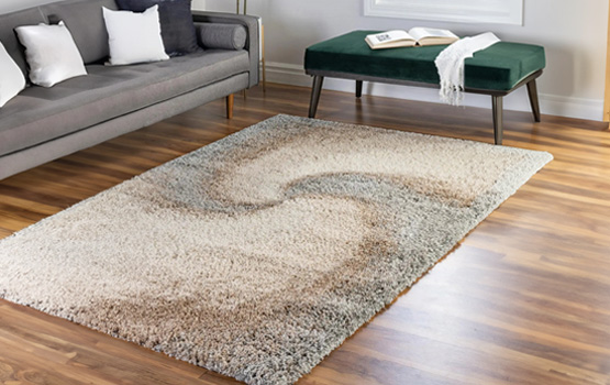 a clean rug in the living room
