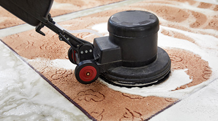 Rug Protection Services in Southeast Idaho