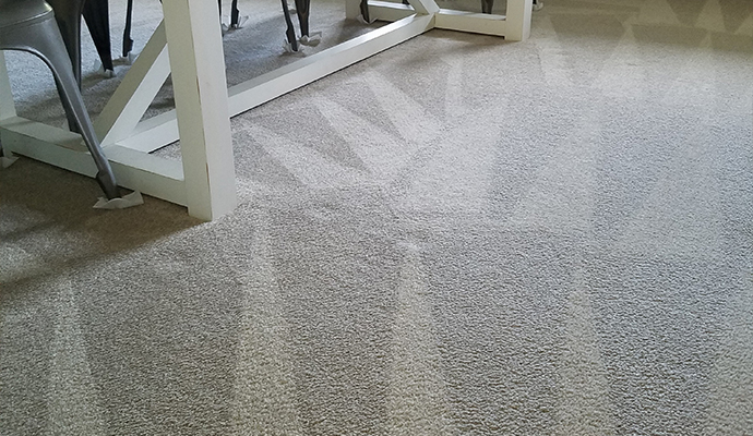 Carpet Cleaning & Restoration in Lava Hot Springs