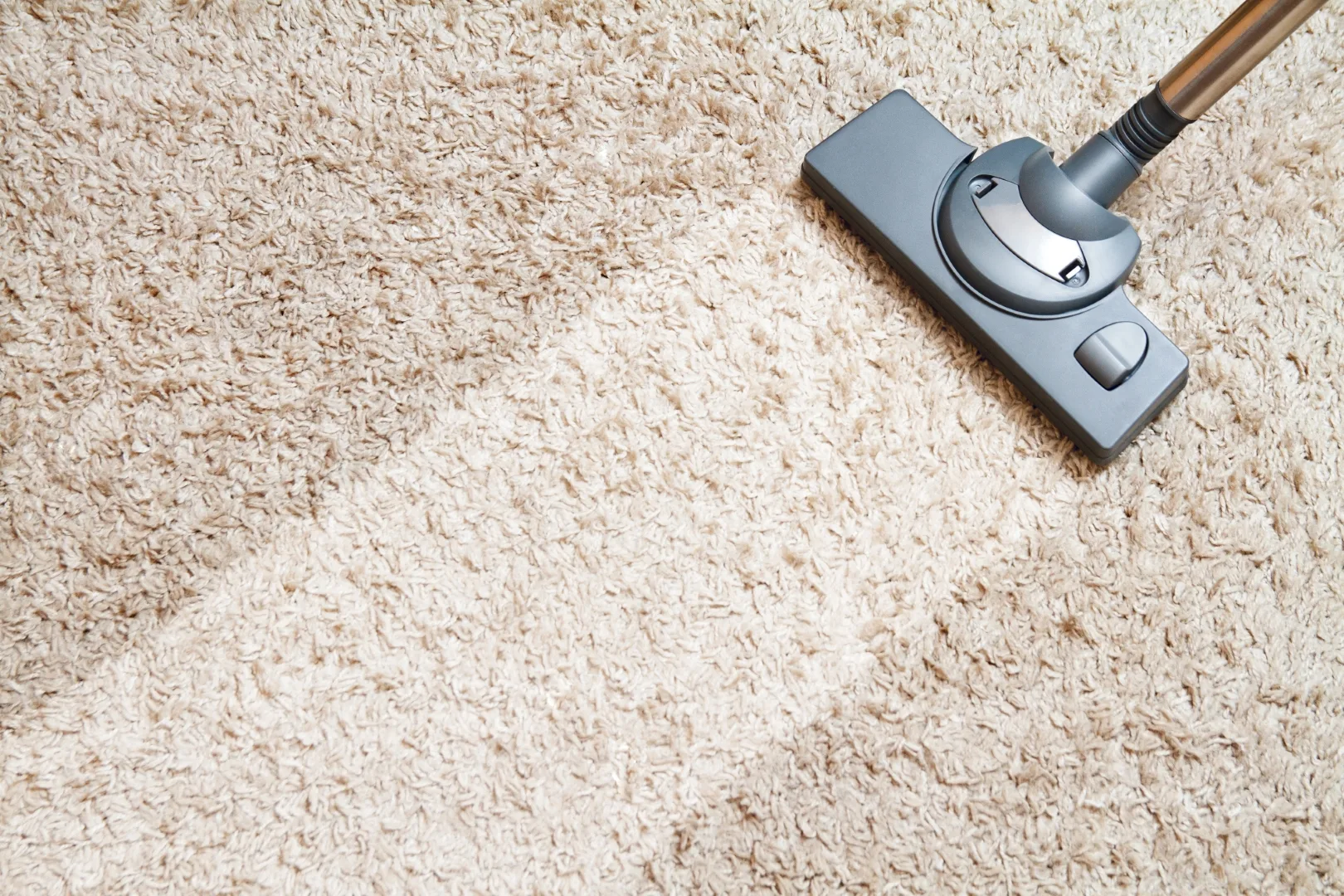 Carpet & Rug Cleaning id falls