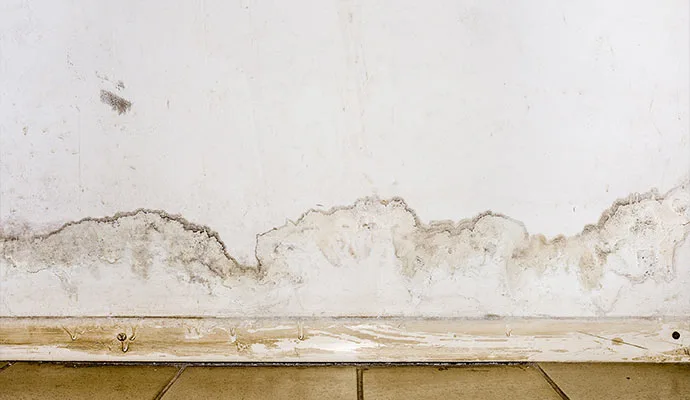 Causes & Areas of Mold