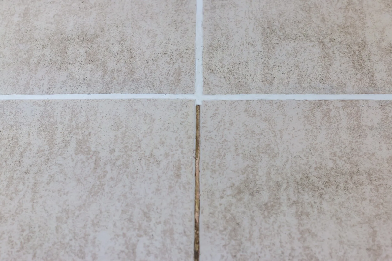 Basics of Tile & Grout Cleaning idaho falls