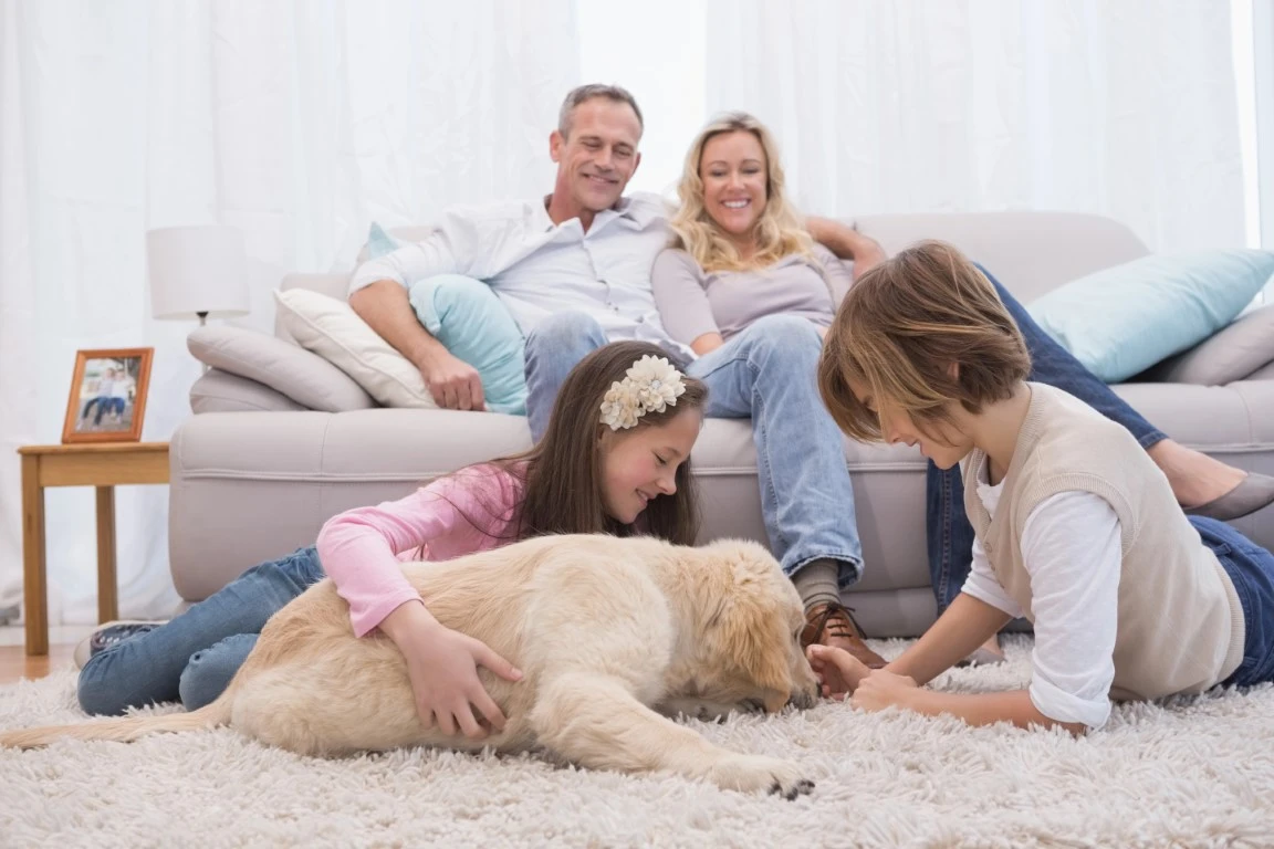 Carpet Cleaning Methods Carpet Cleaning Methods