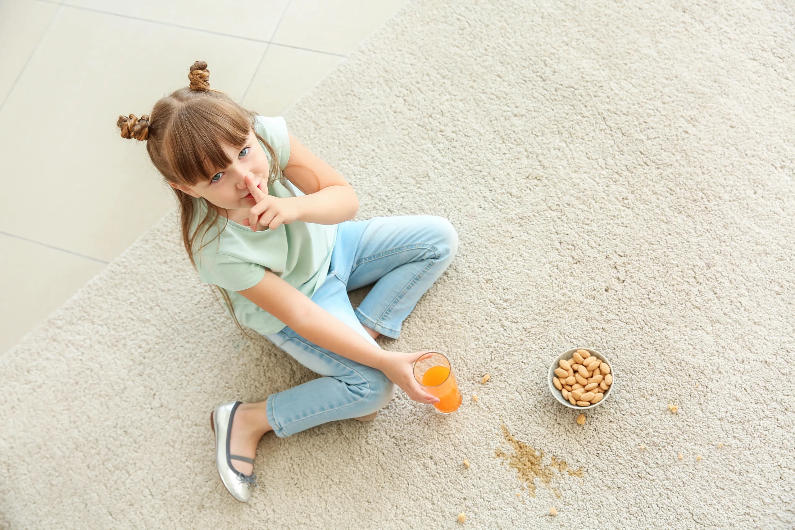 Carpet Stain Removal – Idaho Falls