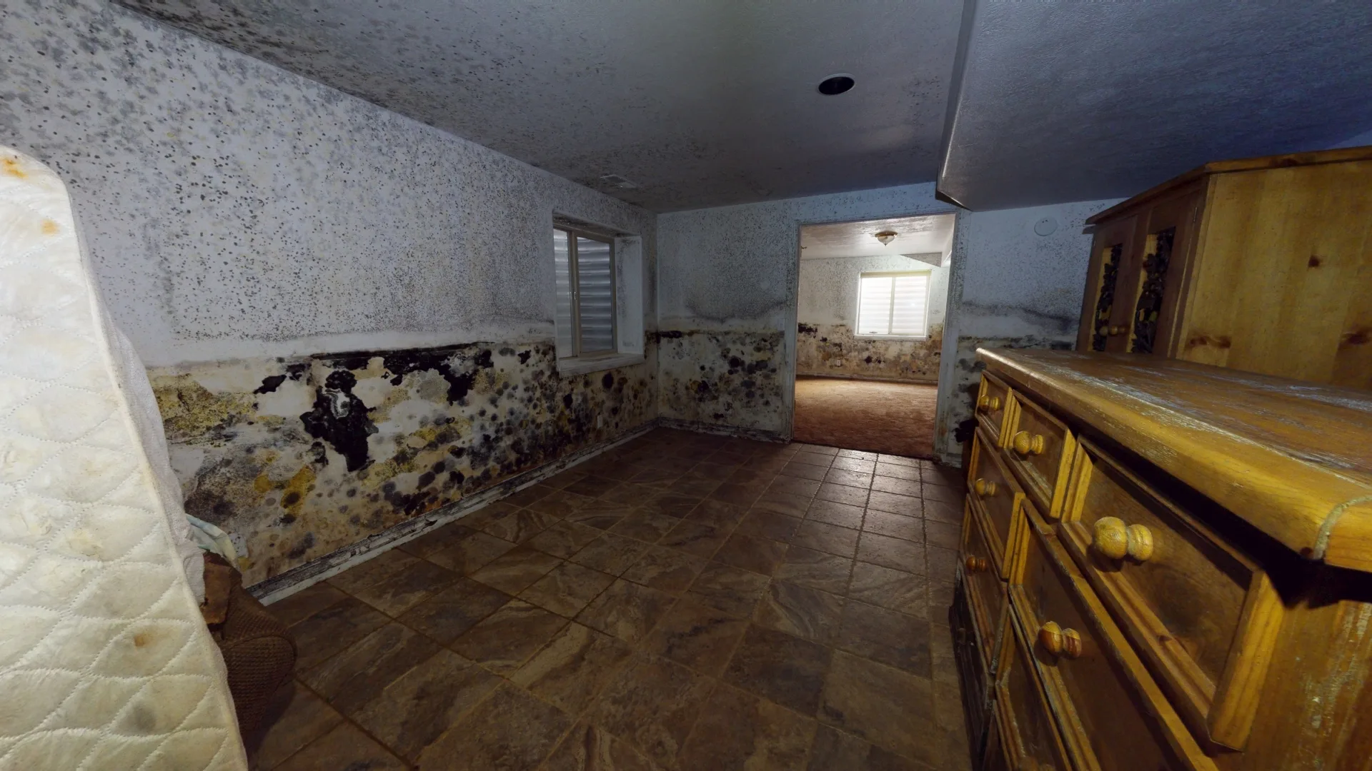 Water Damage and Mold Remediation in Swan Valley