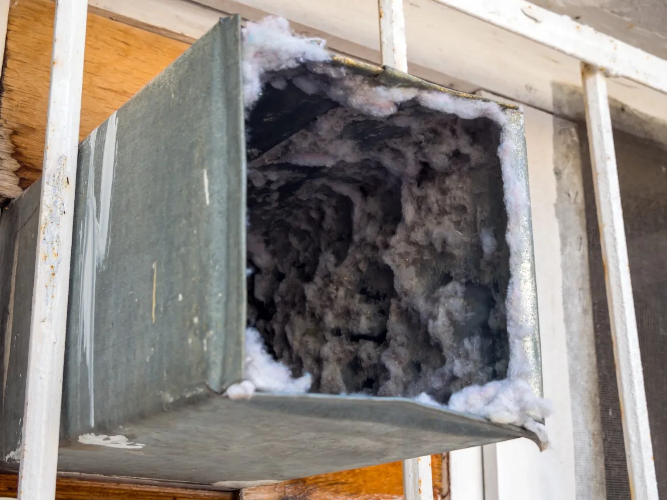HVAC Mold: The Hidden Danger in Your Ducts