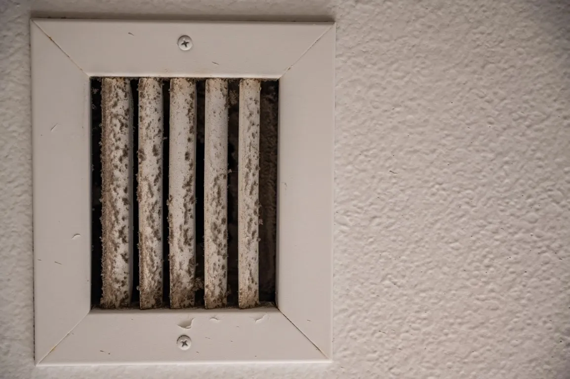 HVAC Mold: The Hidden Danger in Your Ducts