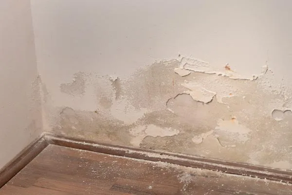 flood damage