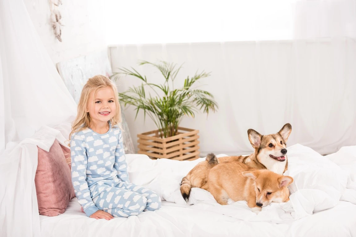 Why Professional Mattress Cleaning Matters For Your Health Why Professional Mattress Cleaning Matters for Your Health