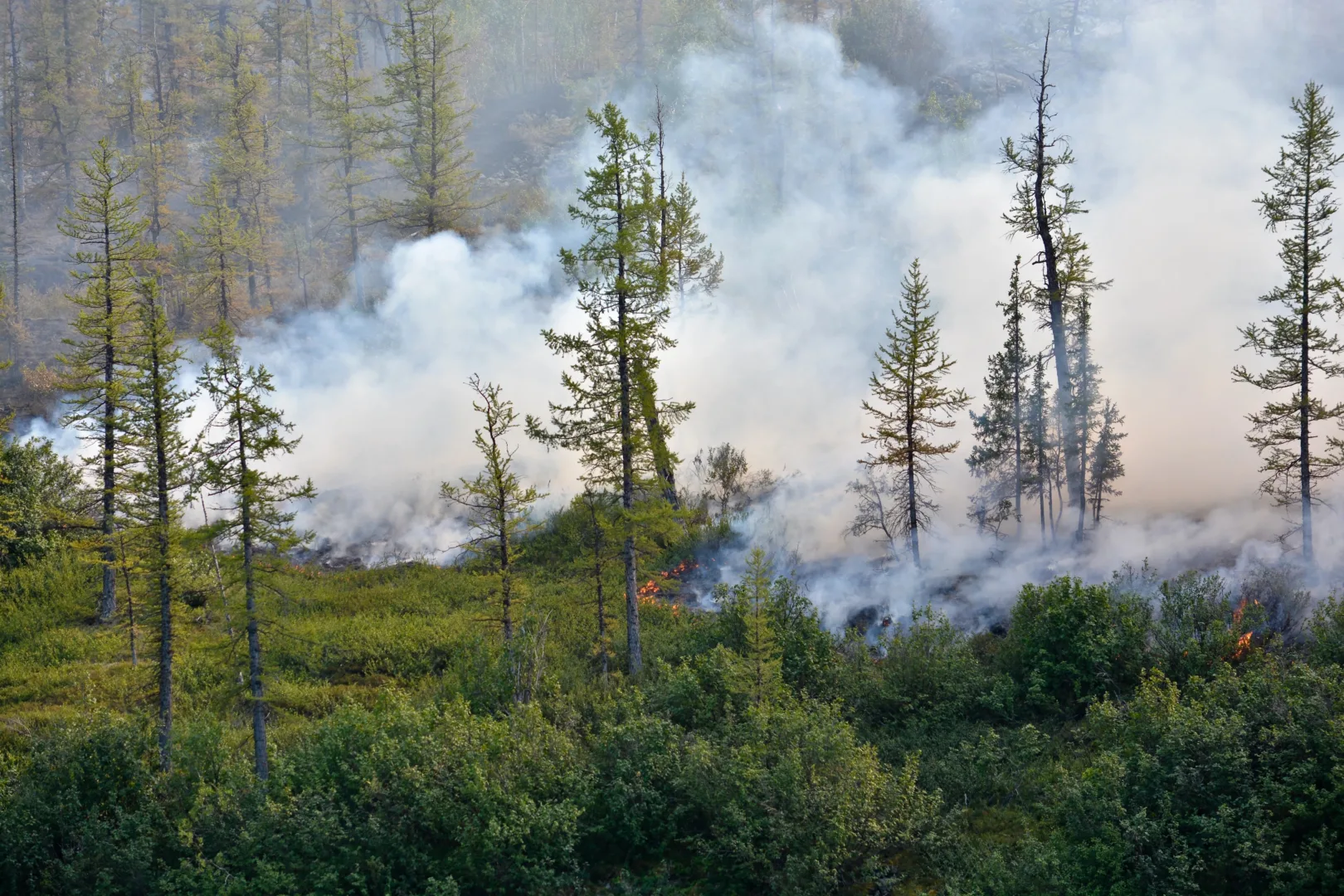 How To Prepare Your Home For Wildfire Smoke Season How to Prepare Your Home for Wildfire Smoke Season