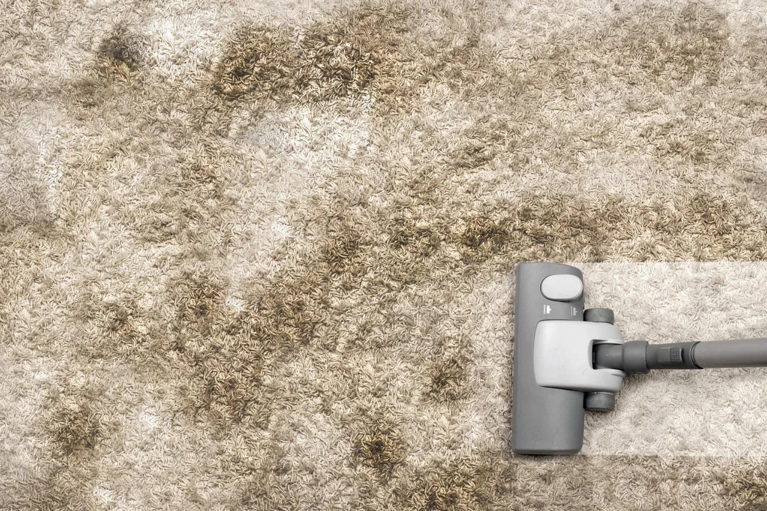 Natural Fiber Rugs Natural Fiber Rugs