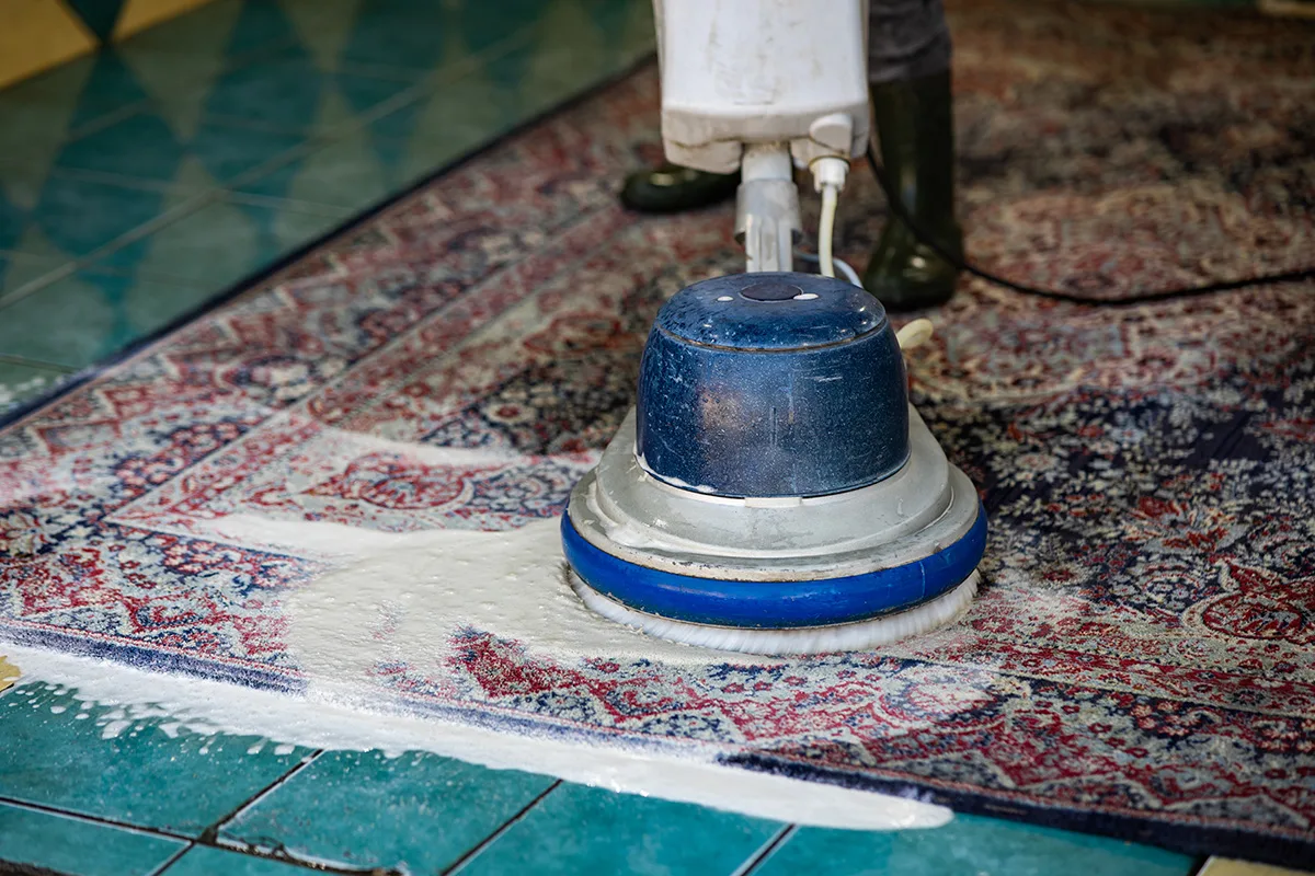 How To Protect Your Rug