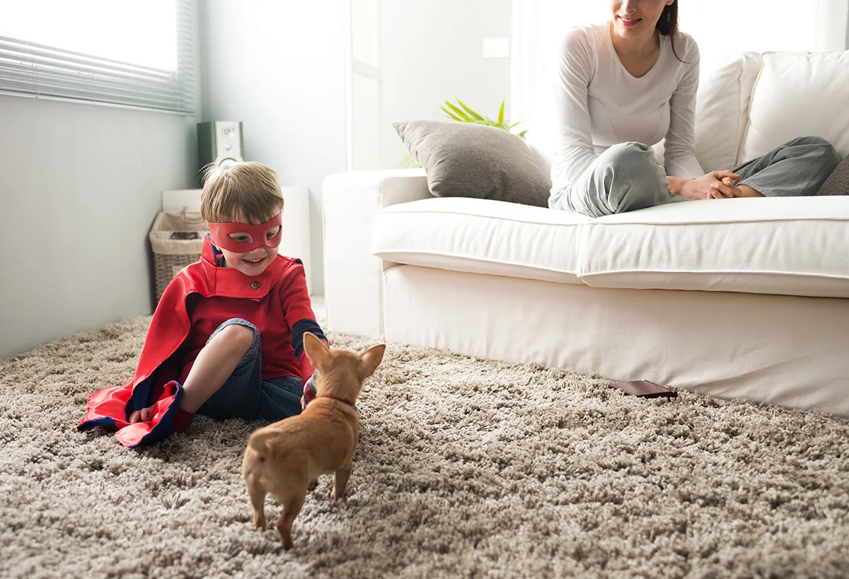 Rug Health &Amp; Your Home Rug Health & Your Home