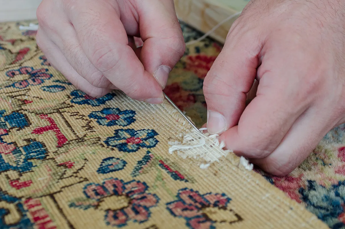 Infested Rugs